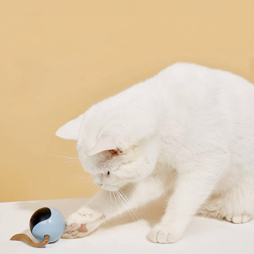 Interactive LED Spinning Ball Pet Toy