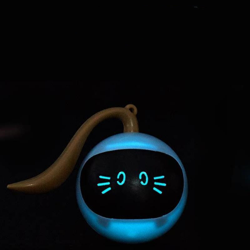 Interactive LED Spinning Ball Pet Toy