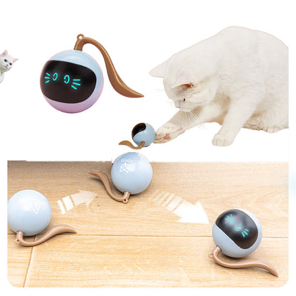 Interactive LED Spinning Ball Pet Toy