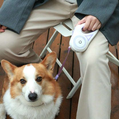 Retractable Pet Leash with Spotlight & Collar Set